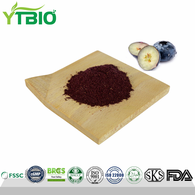 Blueberry Powder Italy