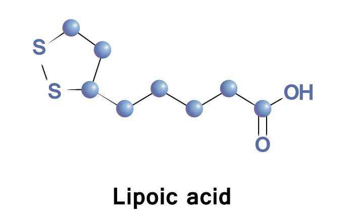 Why is Lipoic Acid Essential for Your Health and Wellness?