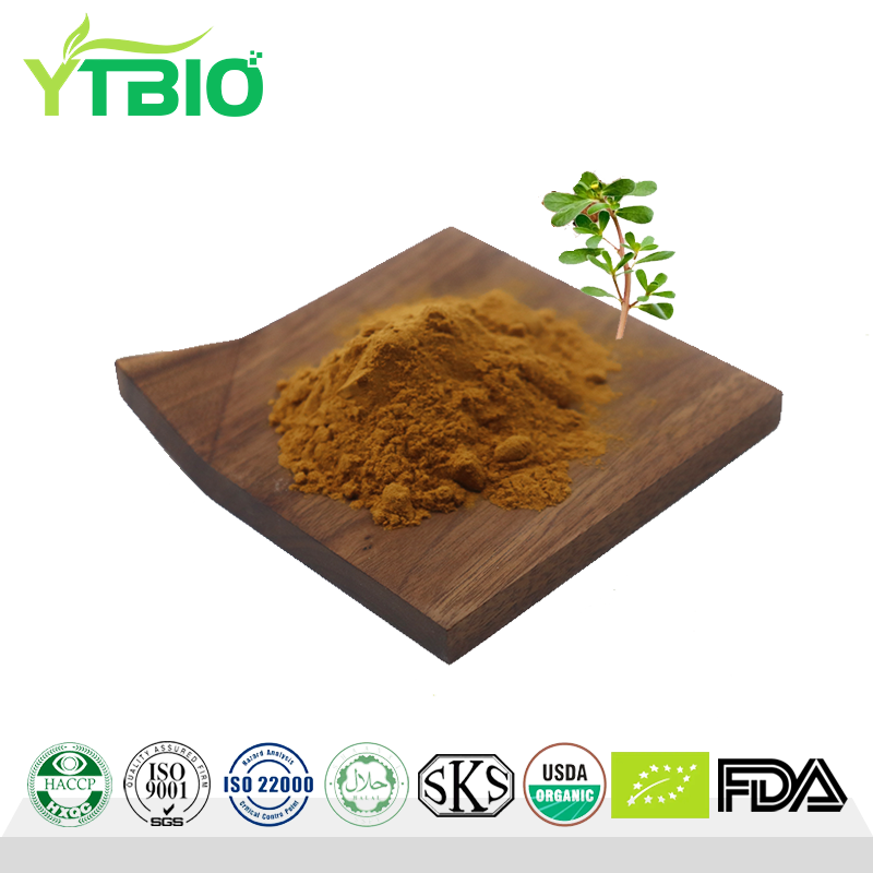 bacopa-monnieri-extract.png