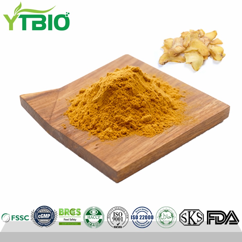 Polygonum-Extract.jpg