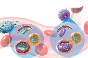 cellular-metabolism-1
