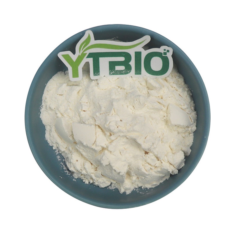 Can Phosphatidylserine Powder Support Memory Performance and Mental Clarity?