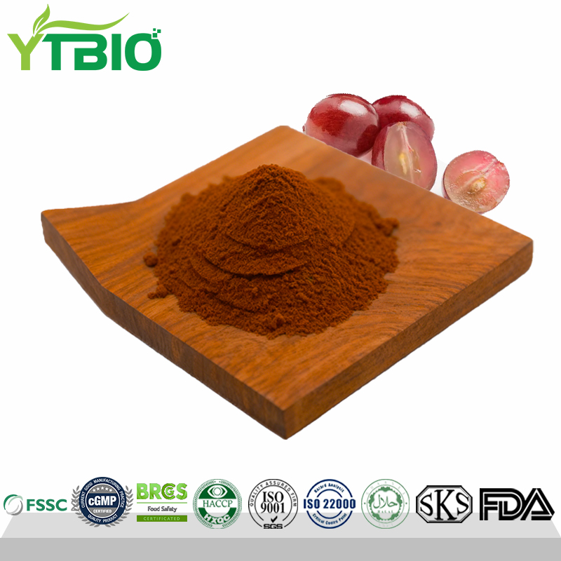 Grape-Seed-Extract.jpg