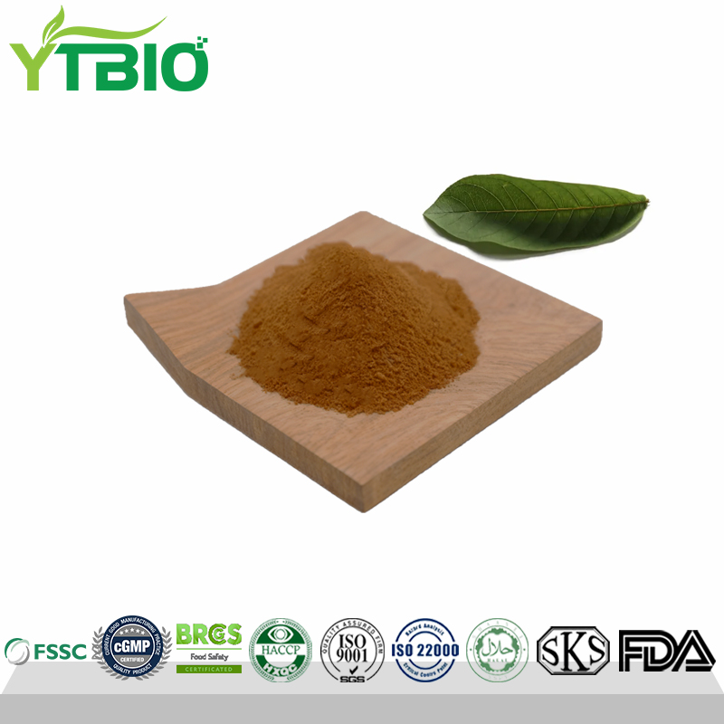 Guava-Leaf-Extract.jpg