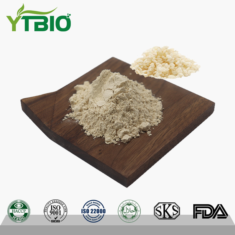 Rice Protein.png