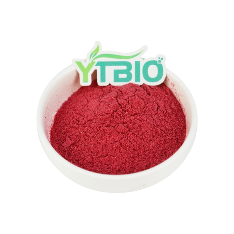 Five Major Health Benefits of Cranberry Powder for Women: More Than Just Urinary Tract Infection Prevention