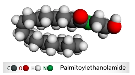 Why Choose Palmitoylethanolamide Powder for Health Benefits?