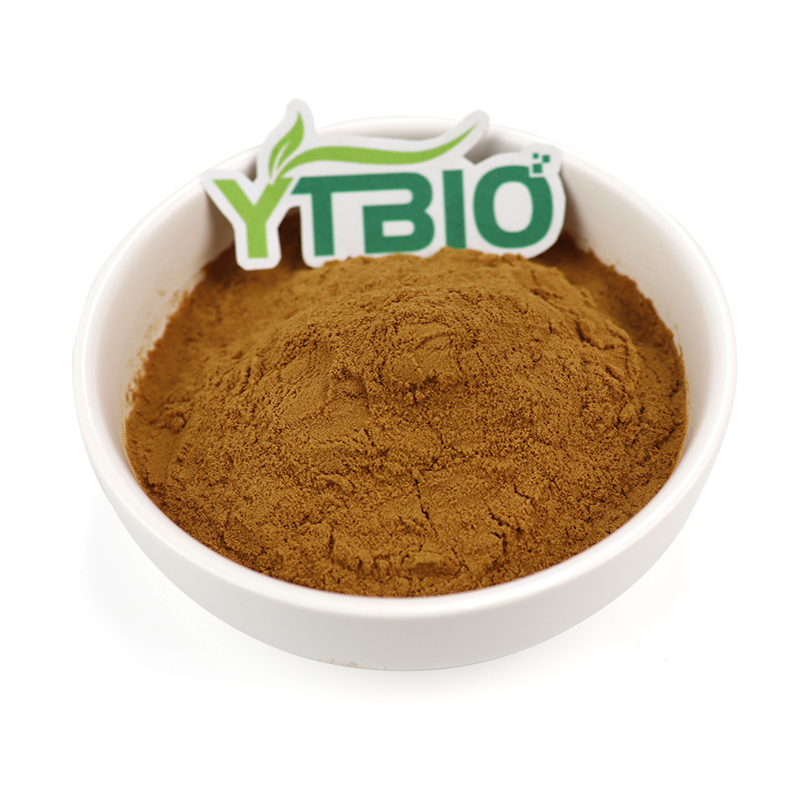 How Does Echinacea Extract Exert Its Immune Effects?