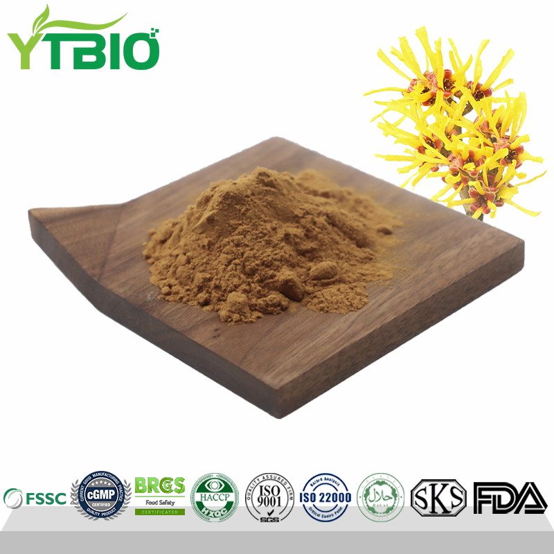 Witch Hazel Extract Powder Netherlands