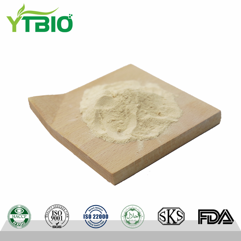 royal-jelly-freeze-dried-powder.png