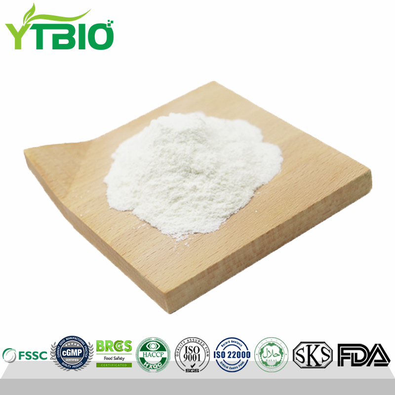 Silk-Protein.jpg