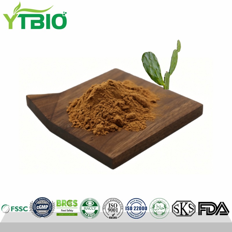 Cactus extract.jpg
