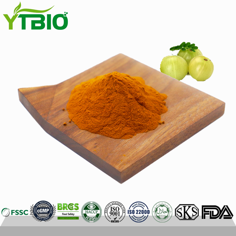 Amla-Extract.jpg