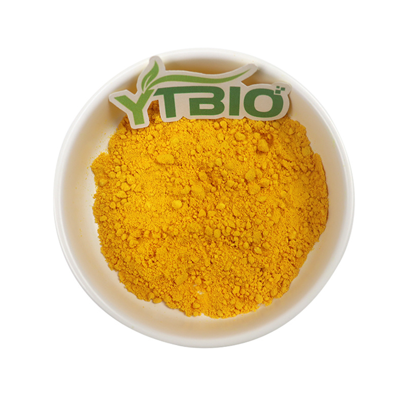 Berberine Hydrochloride: A Natural Plant-Derived Ingredient Beneficial for Metabolic and Cardiovascular Health