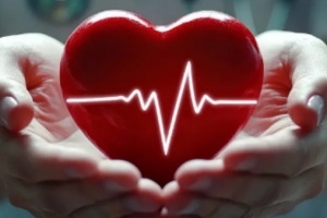 cardiovascular-health-1