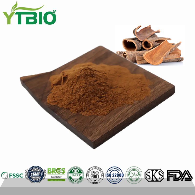 Cinnamon-Polyphenol.jpg