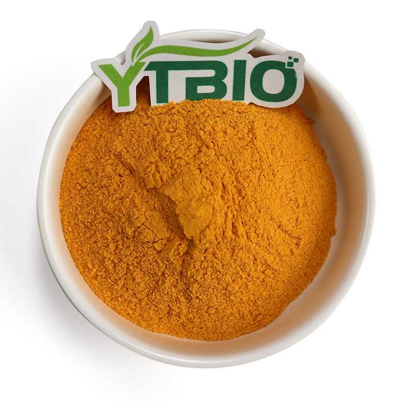 CoQ10: Your Best Heart Health Companion