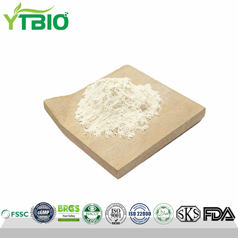 Fish-Oil-Powder.jpg