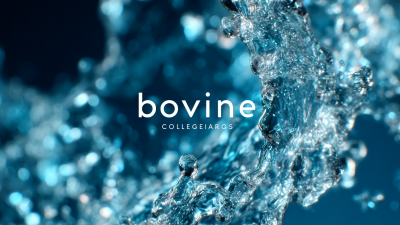 How to Leverage Best Bovine Collagen Peptides Trends for Global Sourcing in 2025