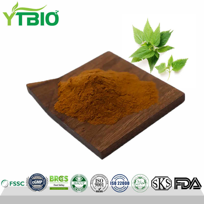 Nettles Leaf Extract