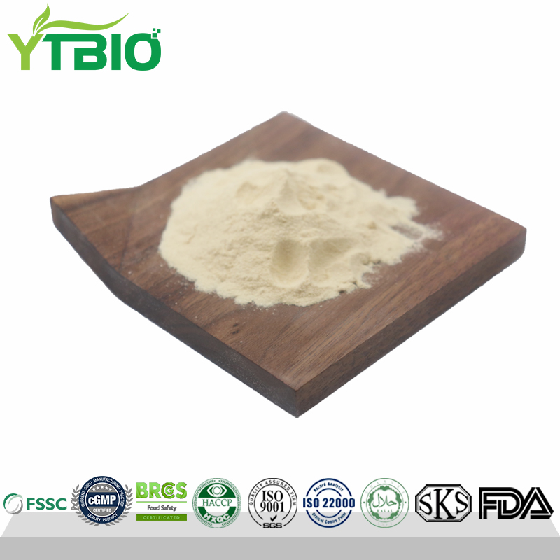 Alkaline Protease Powder