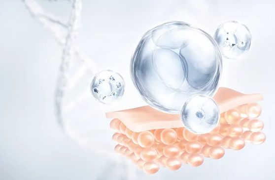 Top 10 Benefits of NMN for Anti Aging and Health?