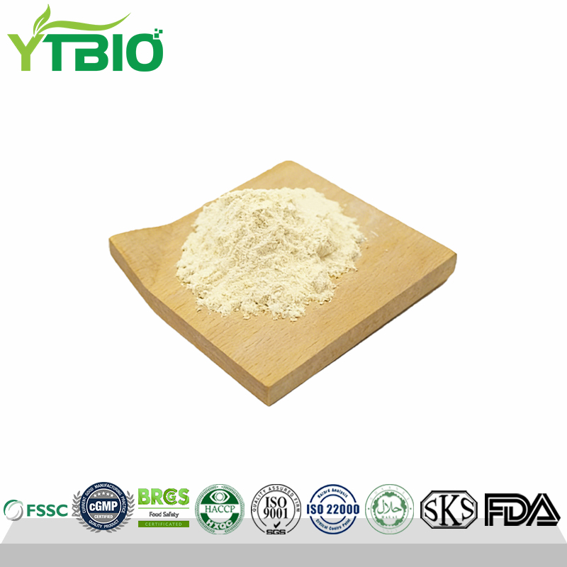 Cellulase Powder Italy