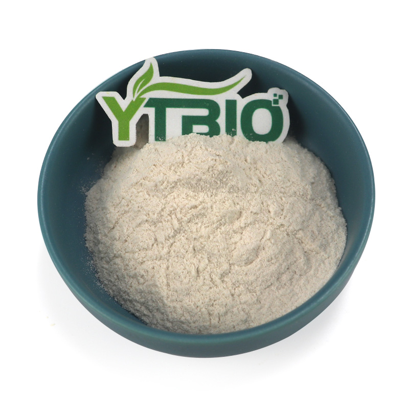 MCT Powder vs. MCT Oil: Dosage Form Differences and Selection Guide