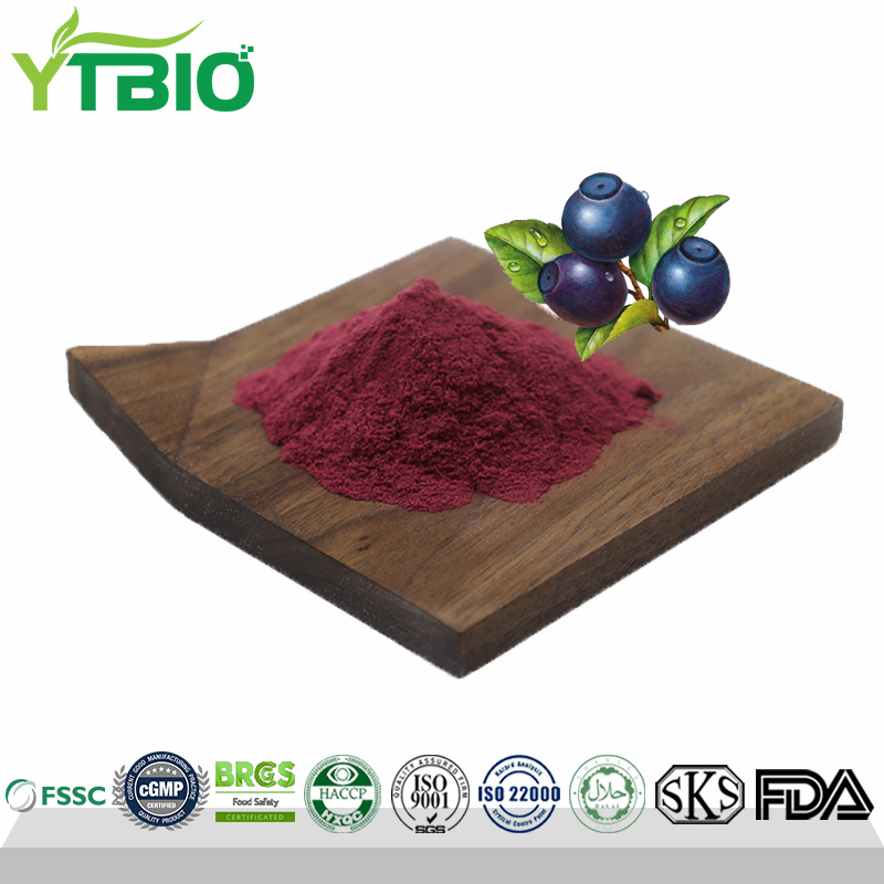 Bilberry-Extract.jpg