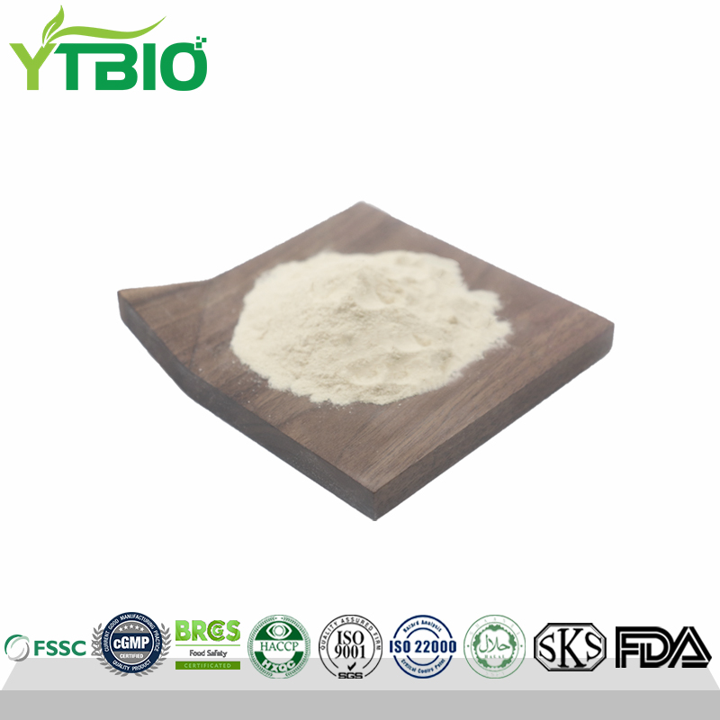 Snail Protein Powder OEM Mozambique