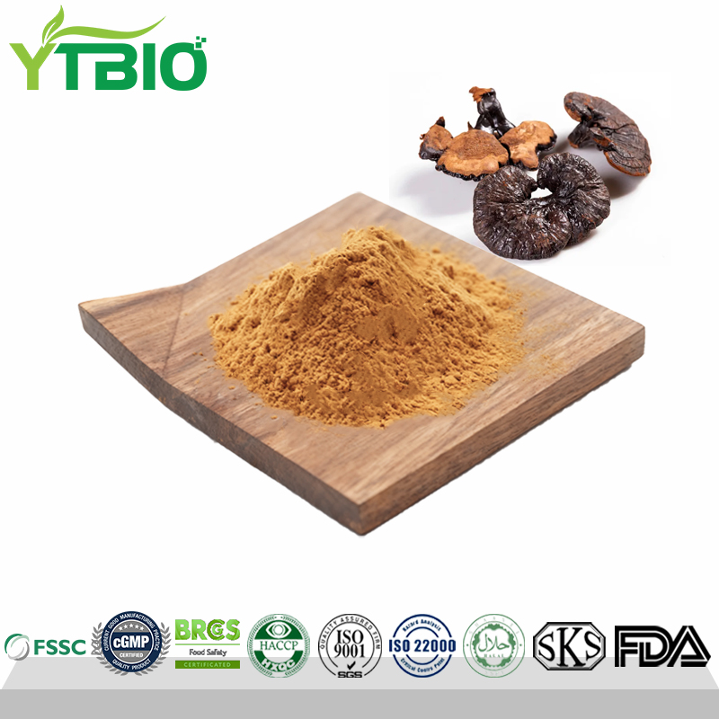 Reishi-Extract.jpg