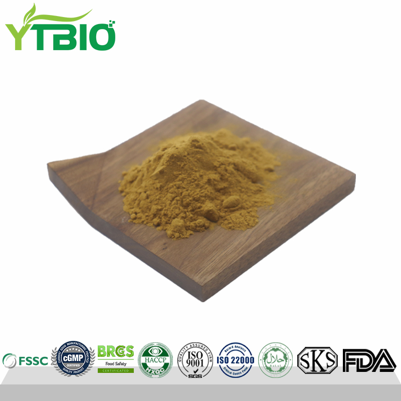 Hericium-Erinaceus-Extract.jpg