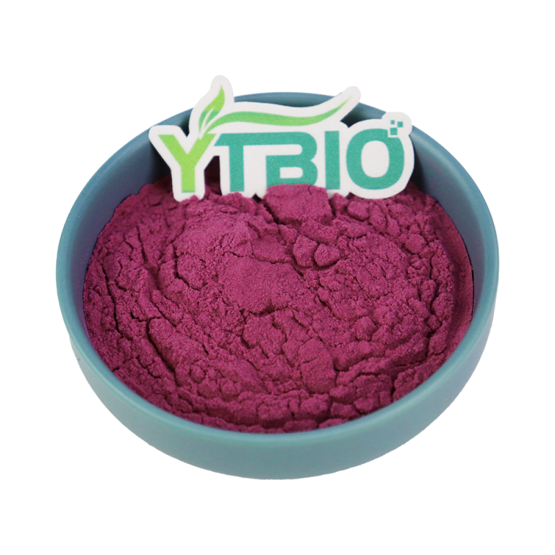 Freeze-Dried Blueberry Powder vs. Spray-Dried Blueberry Powder: What's the Difference? How to Choose?