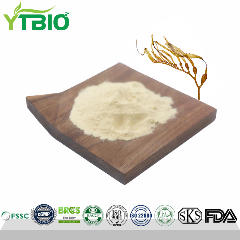 Alginate-Oligosaccharide.jpg
