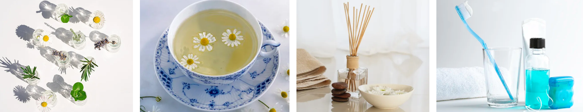 chamomile-extract