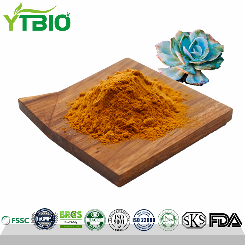 Polypodium-Nipponicum-Extract.jpg