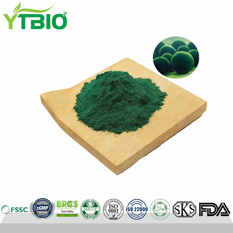 Chlorella-Powder.jpg
