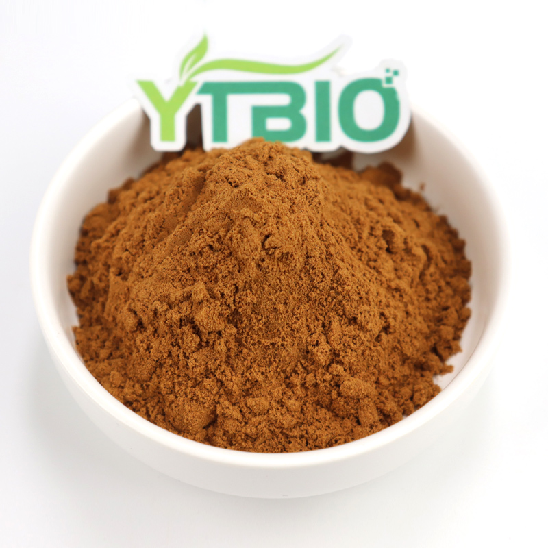 Cordyceps Sinensis Extract: From Health Management to Precision Skincare