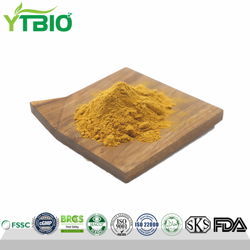 Ox-Bile-Powder.jpg