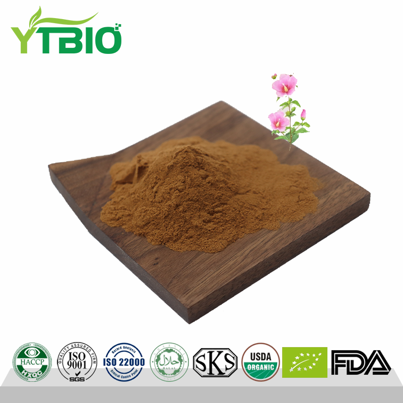 Hollyhock Extract Powder.png