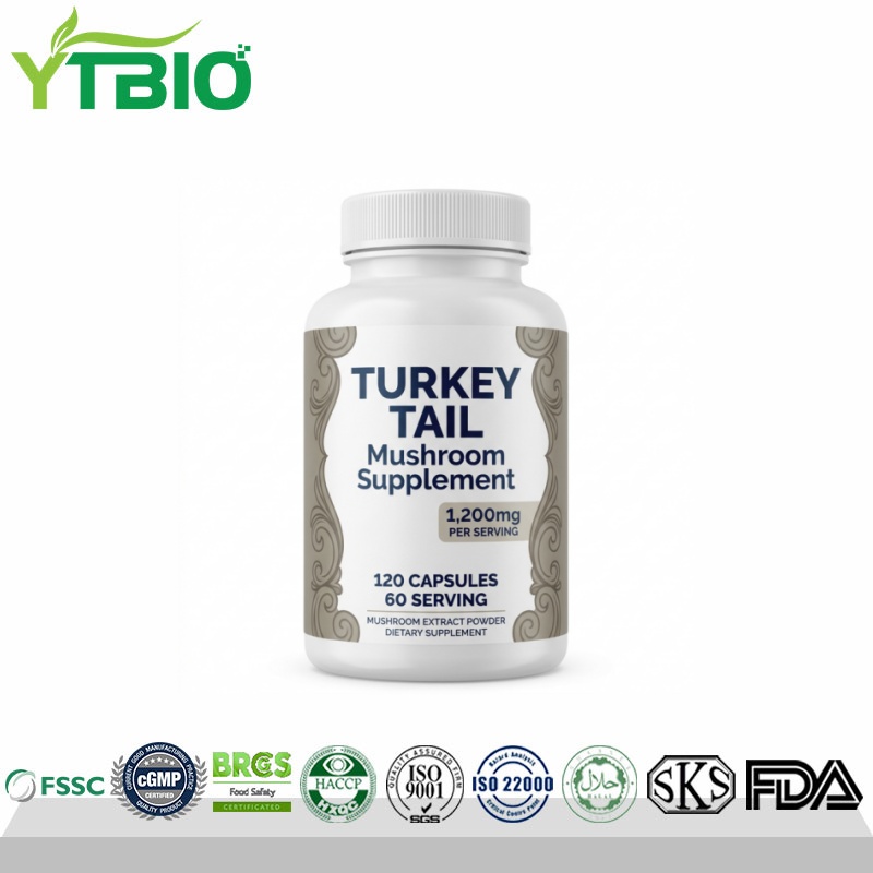 Turkey Tail Mushroom Capsules.jpg