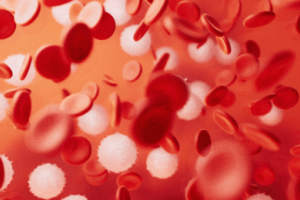 blood