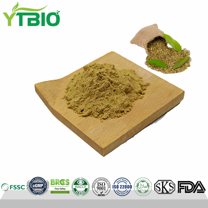 Yerba Mate Powder