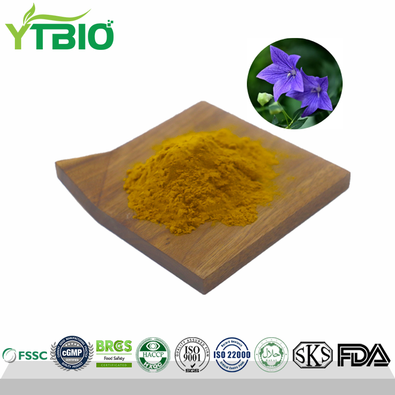 Platycodon Extract Powder Functional Food