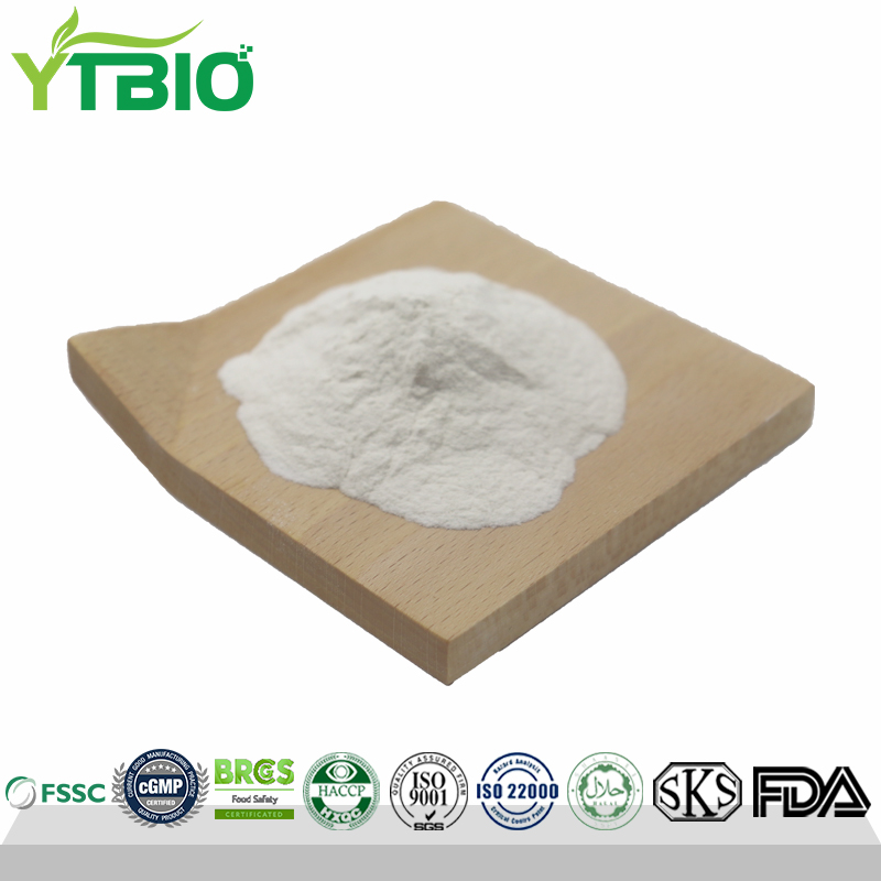 Magnesium L-Threonate Powder CAS 778571-57-6