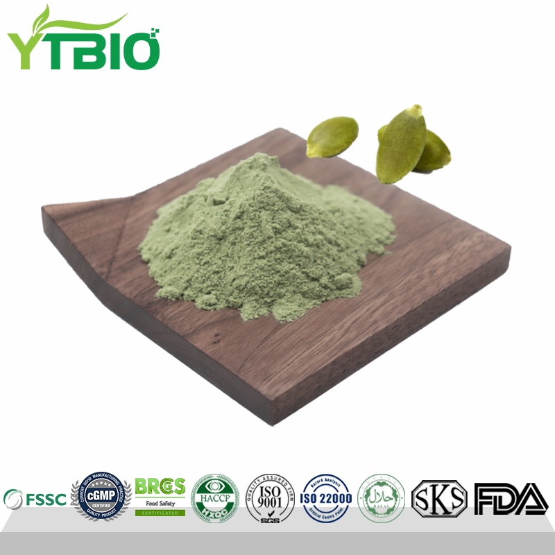 Organic Pumpkin Seed Protein.jpg