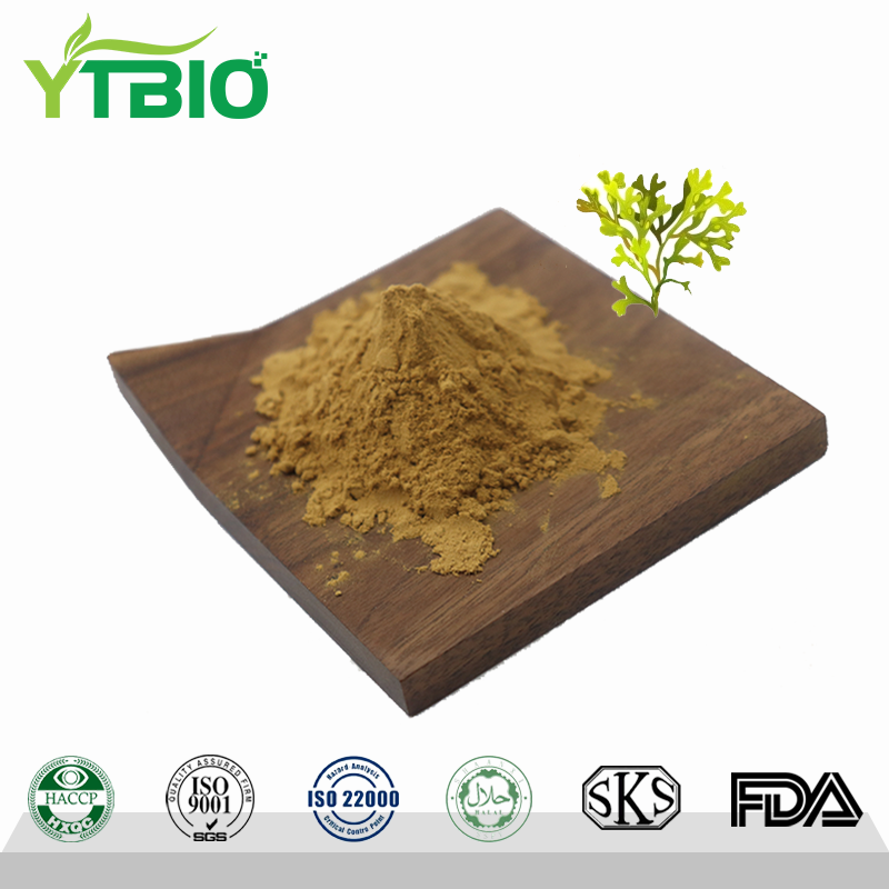 fucus-algae-extract-2.png
