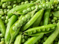 peas-1