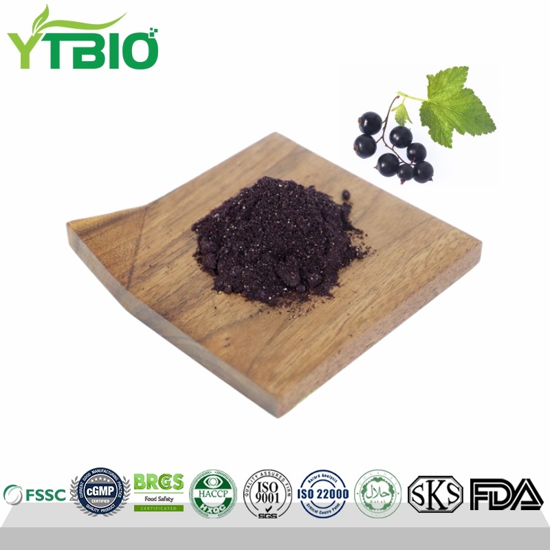 Freeze-Dried Blackcurrant Powder