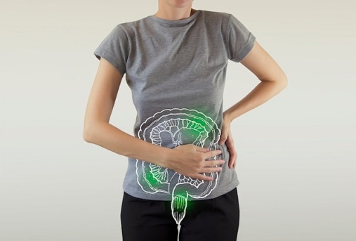 digestive-system-support